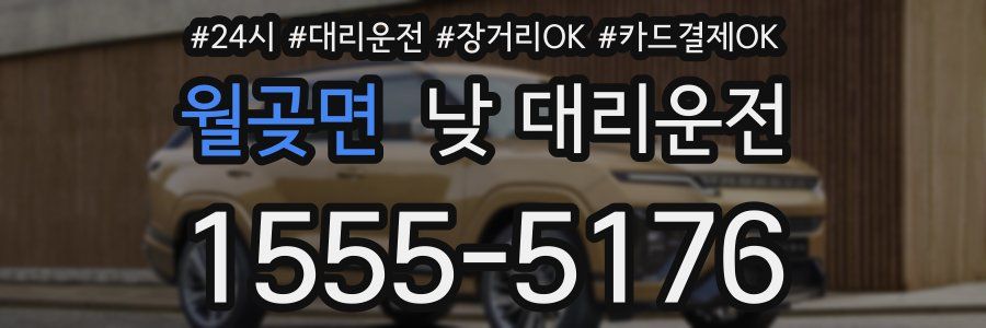 월곶면 낮 대리운전
