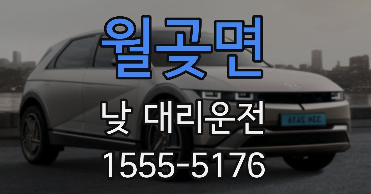 월곶면 낮 대리운전