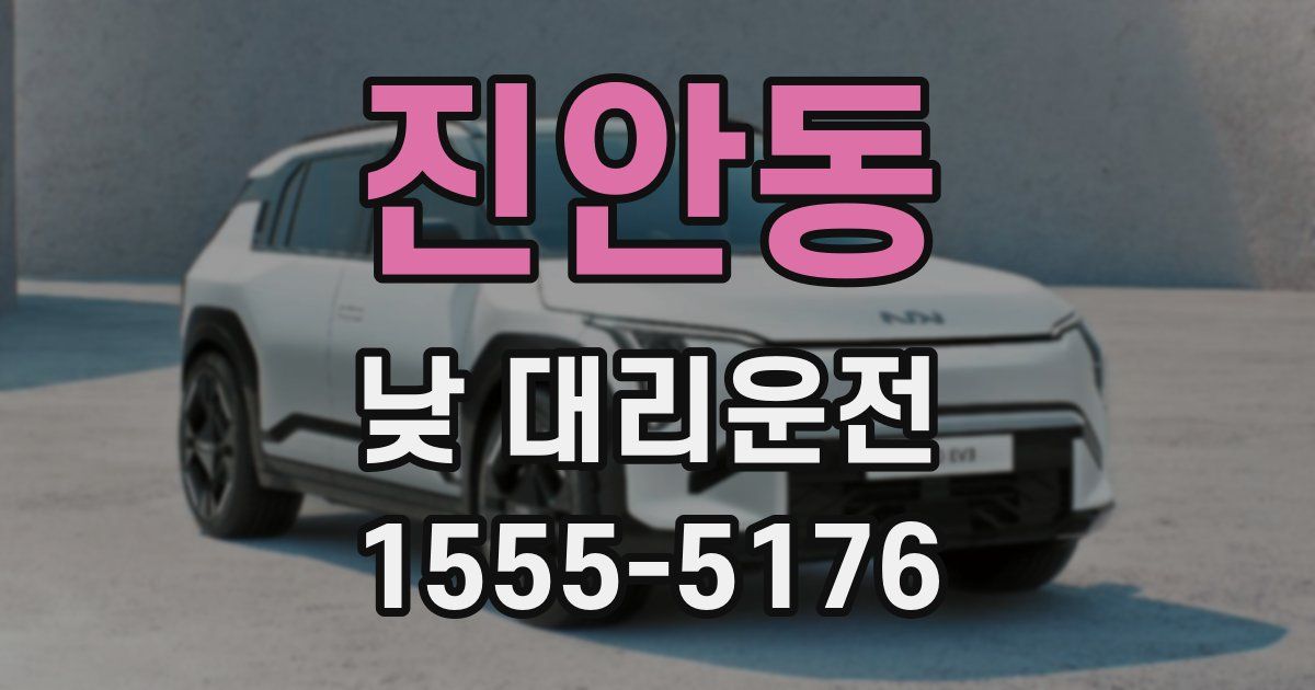 진안동 낮 대리운전