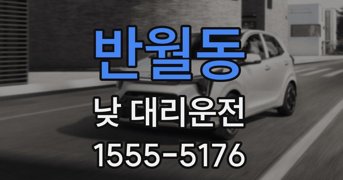 반월동 낮 대리운전