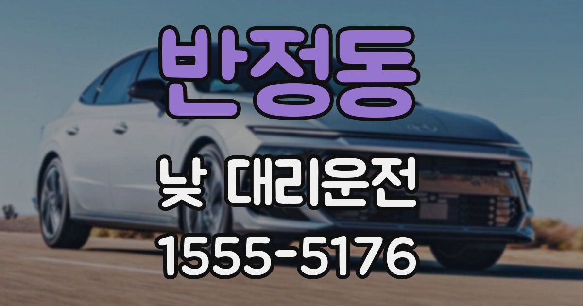 반정동 낮 대리운전