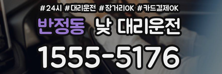반정동 낮 대리운전
