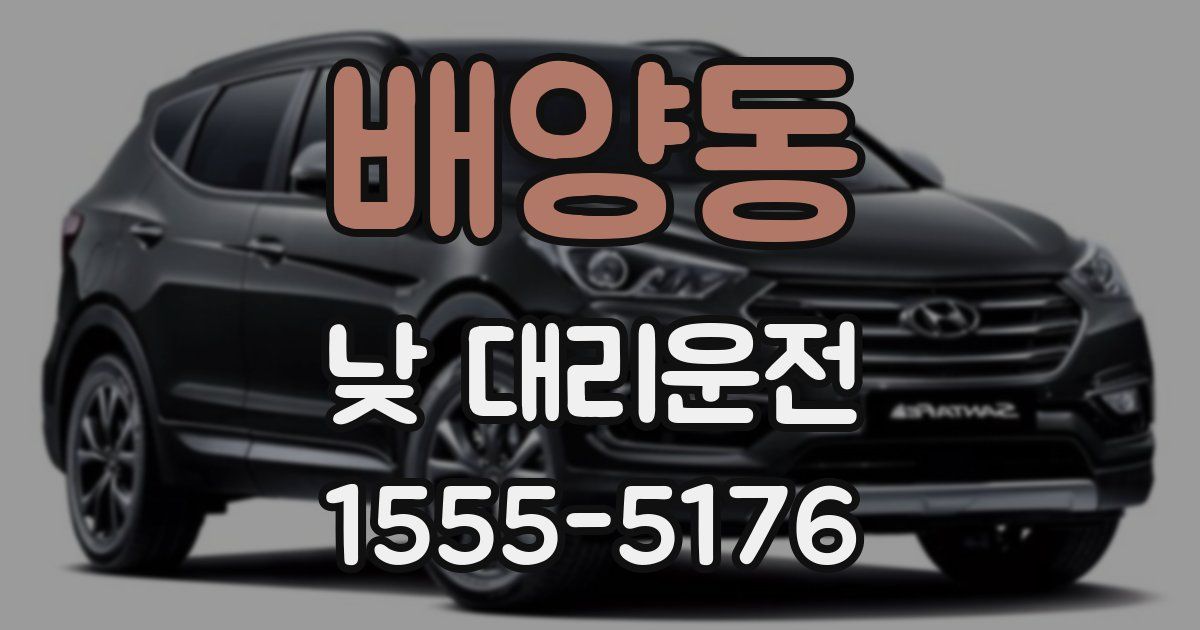 배양동 낮 대리운전