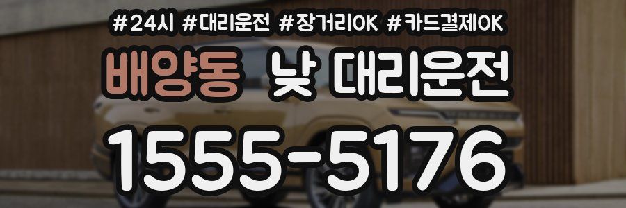 배양동 낮 대리운전
