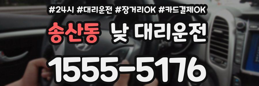 송산동 낮 대리운전