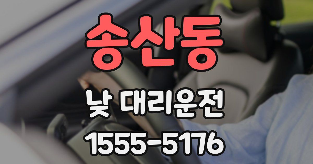 송산동 낮 대리운전
