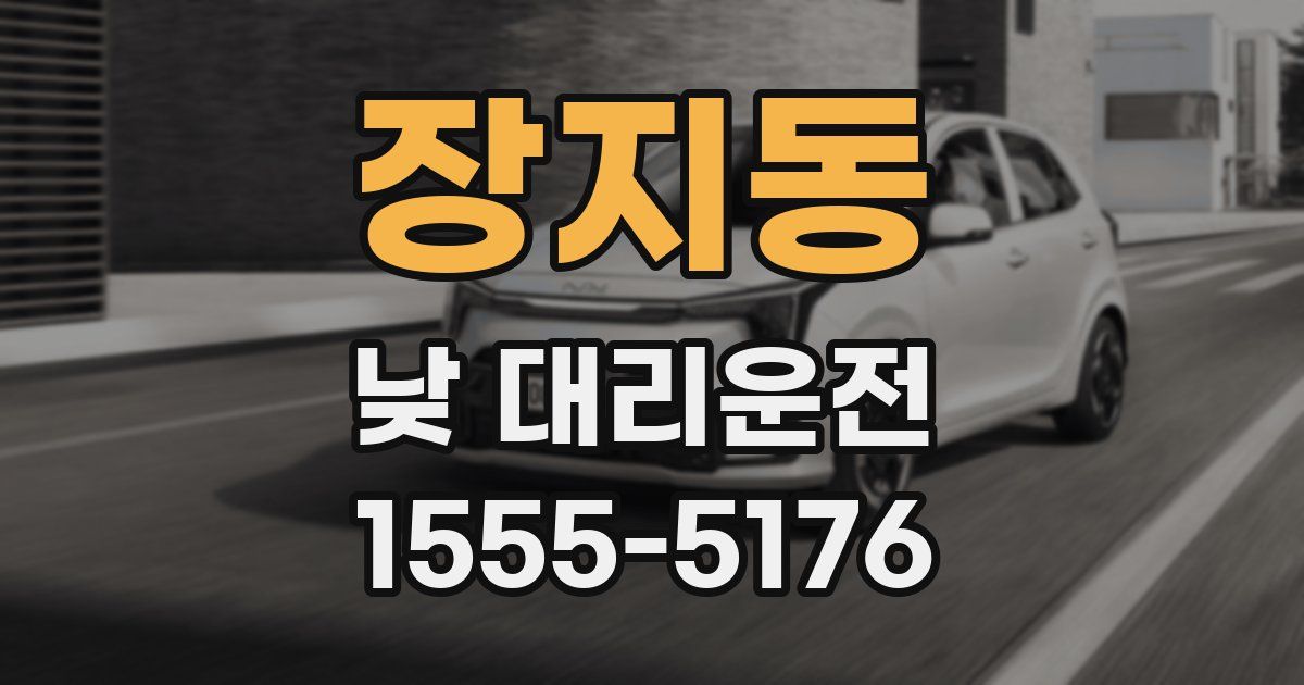 장지동 낮 대리운전