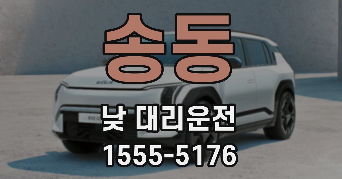 송동 낮 대리운전