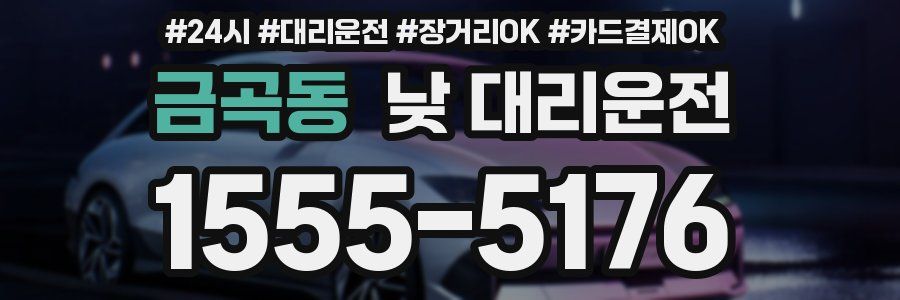 금곡동 낮 대리운전