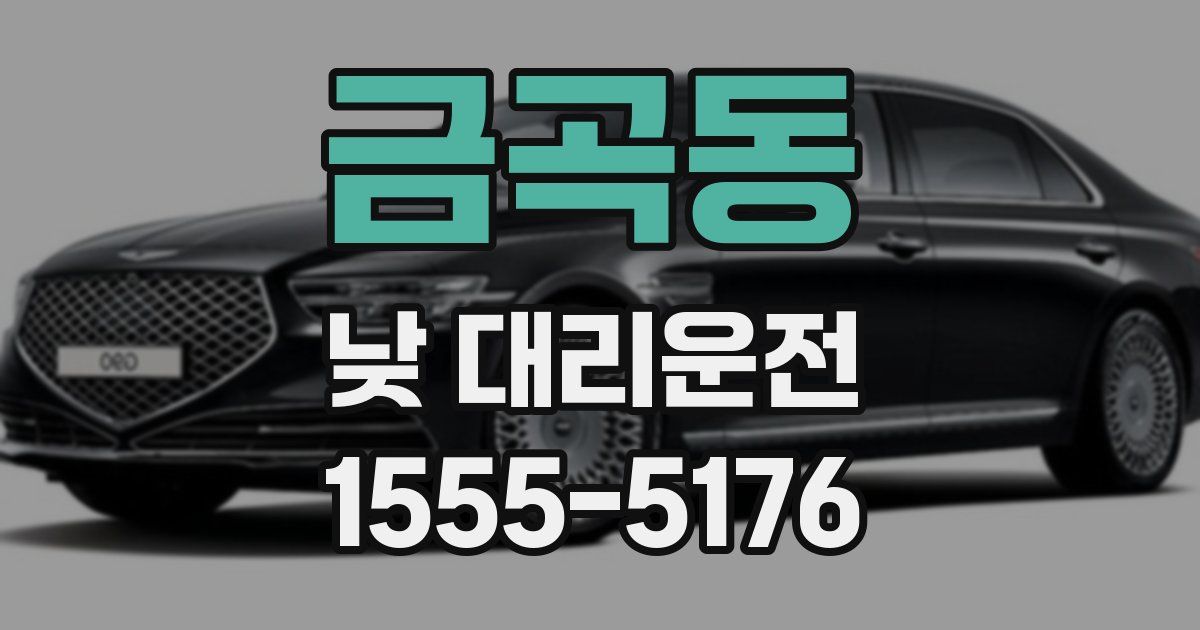 금곡동 낮 대리운전