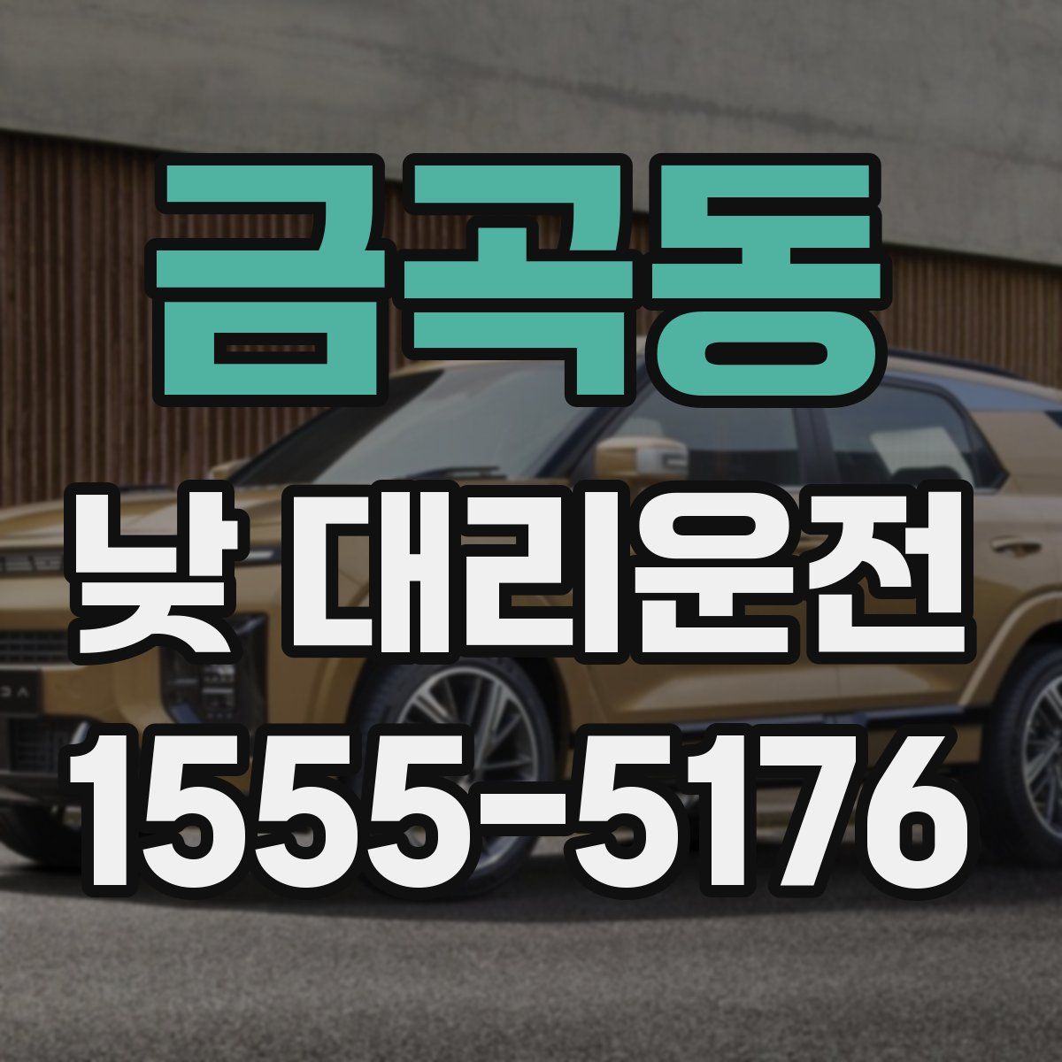 금곡동 낮 대리운전