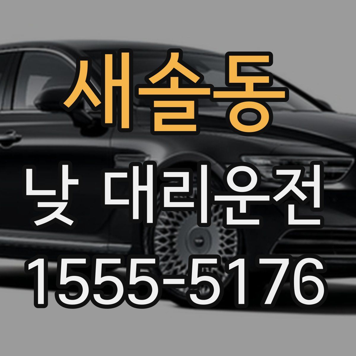 새솔동 낮 대리운전