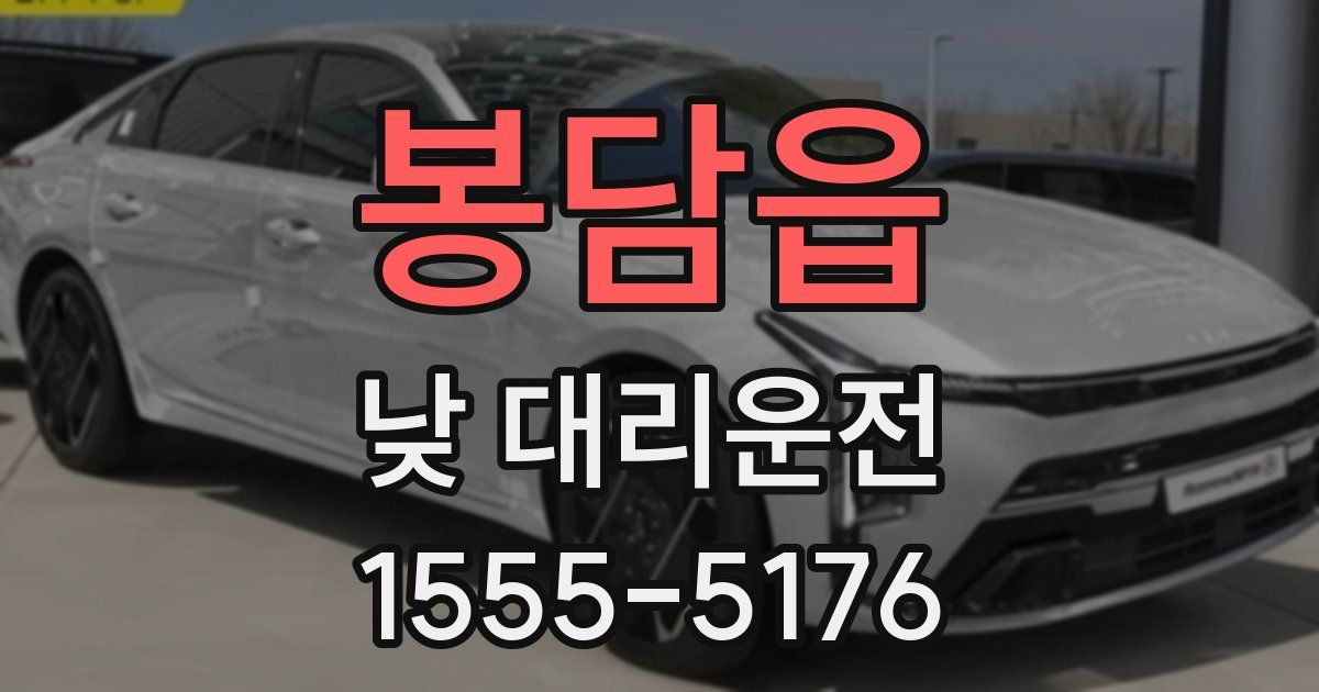 봉담읍 낮 대리운전