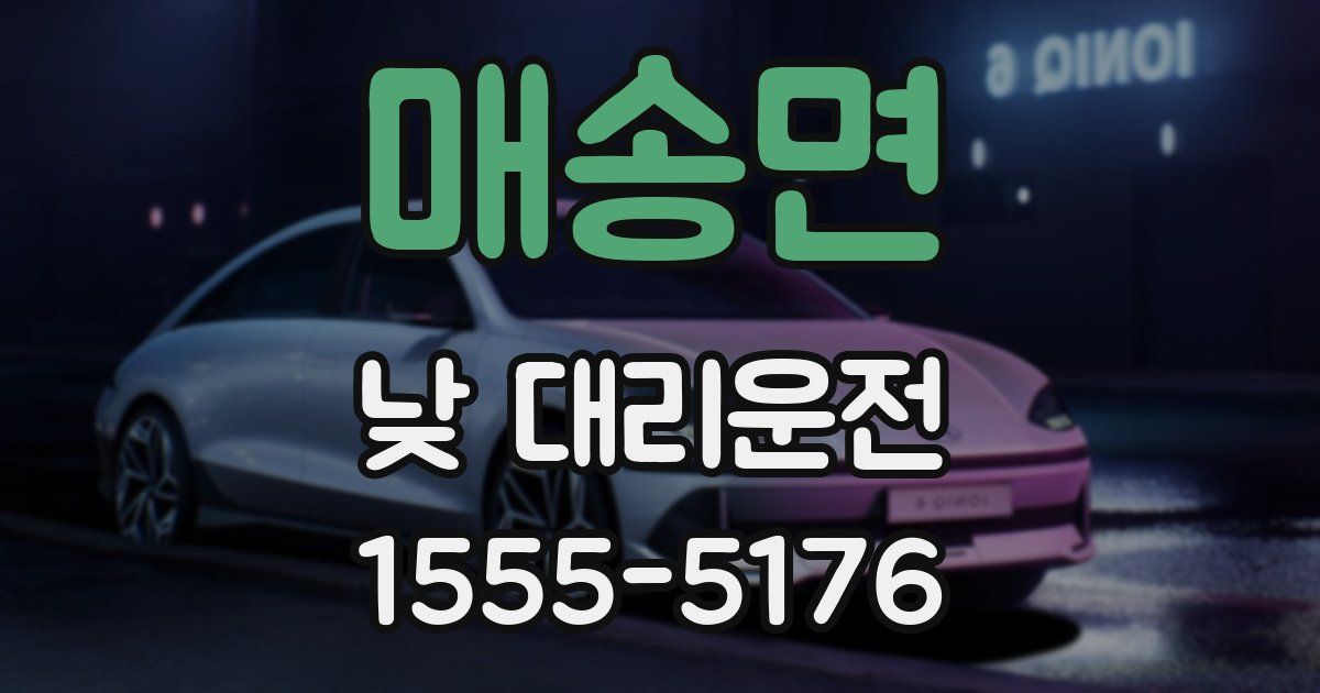 매송면 낮 대리운전