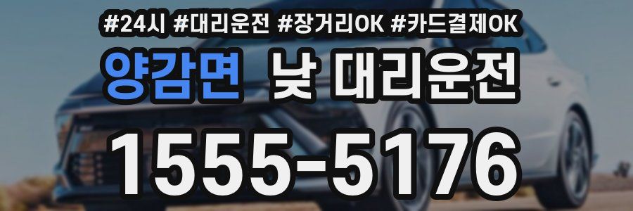 양감면 낮 대리운전