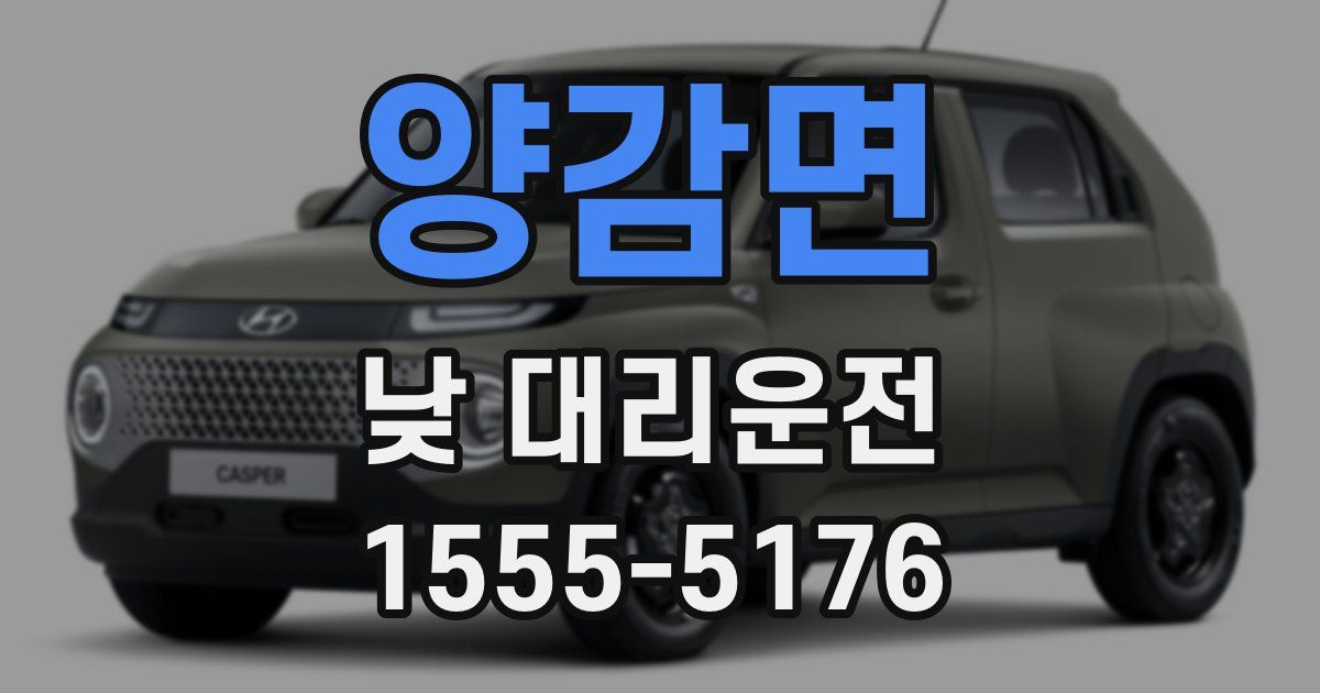 양감면 낮 대리운전