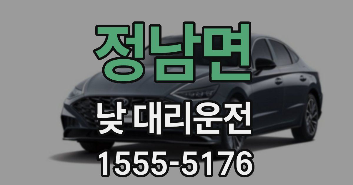 정남면 낮 대리운전