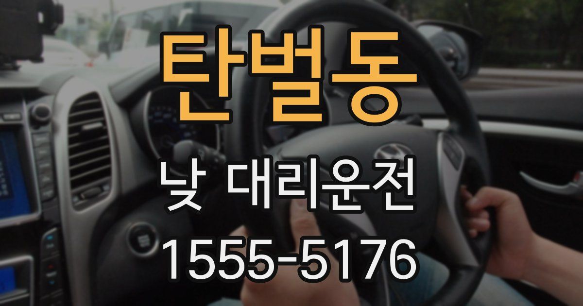 탄벌동 낮 대리운전