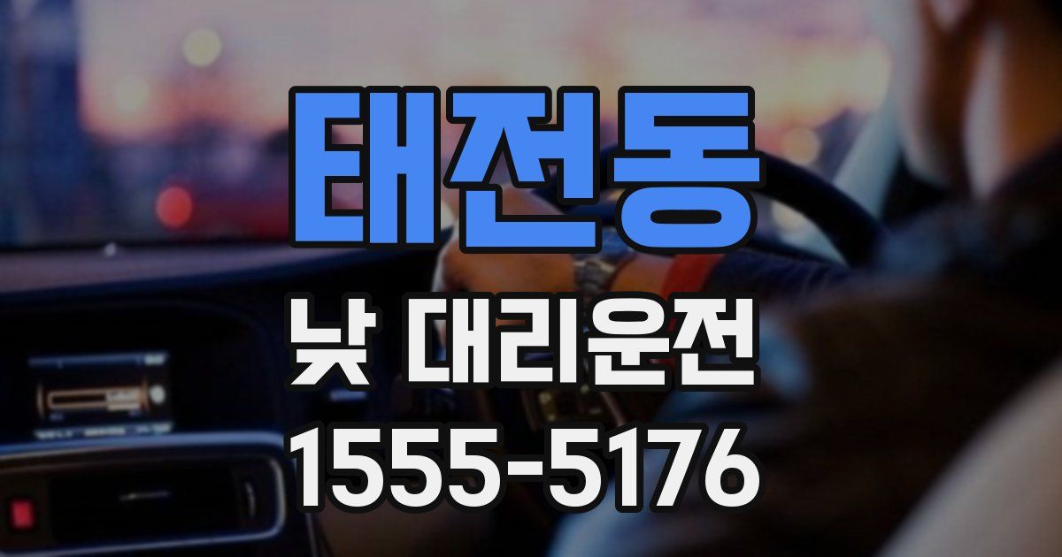 태전동 낮 대리운전