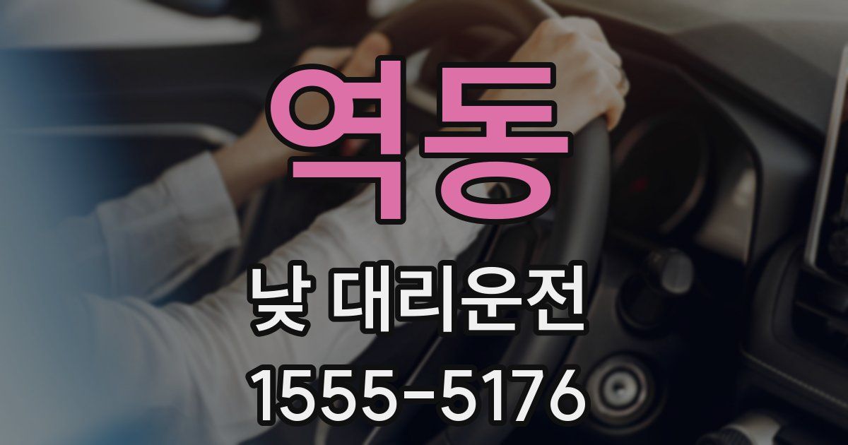 역동 낮 대리운전