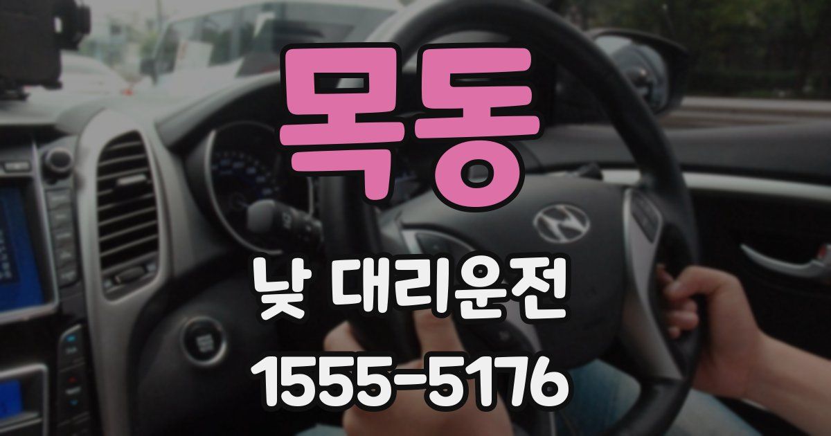 목동 낮 대리운전
