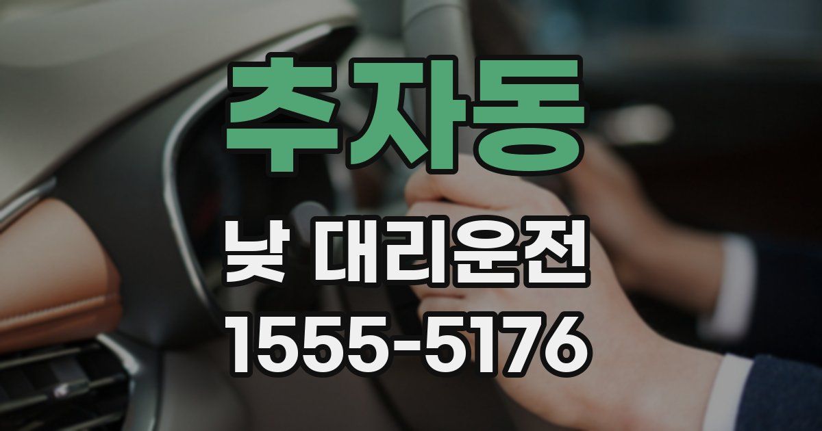 추자동 낮 대리운전