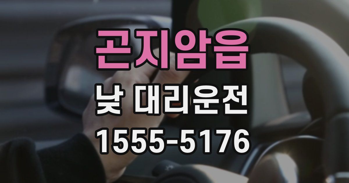 곤지암읍 낮 대리운전