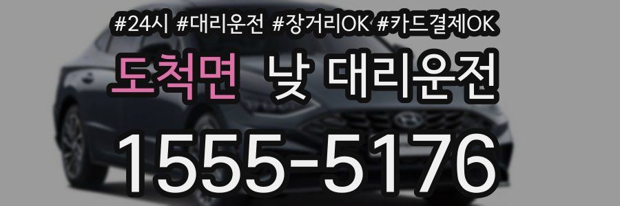 도척면 낮 대리운전