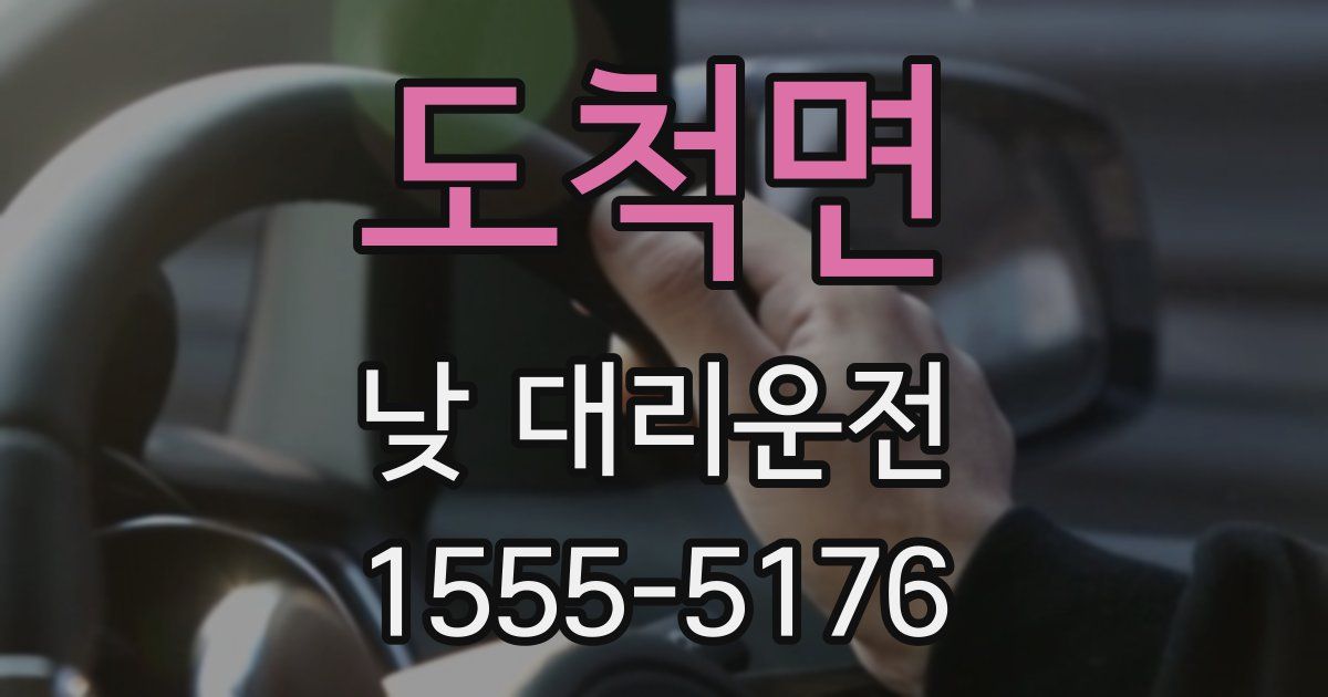 도척면 낮 대리운전
