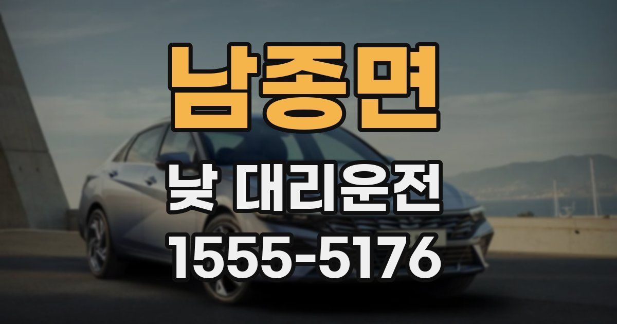 남종면 낮 대리운전