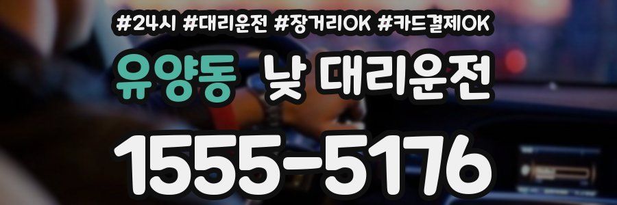 유양동 낮 대리운전