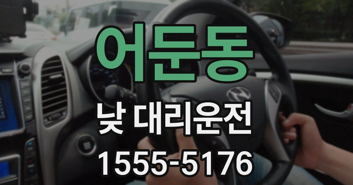 어둔동 낮 대리운전