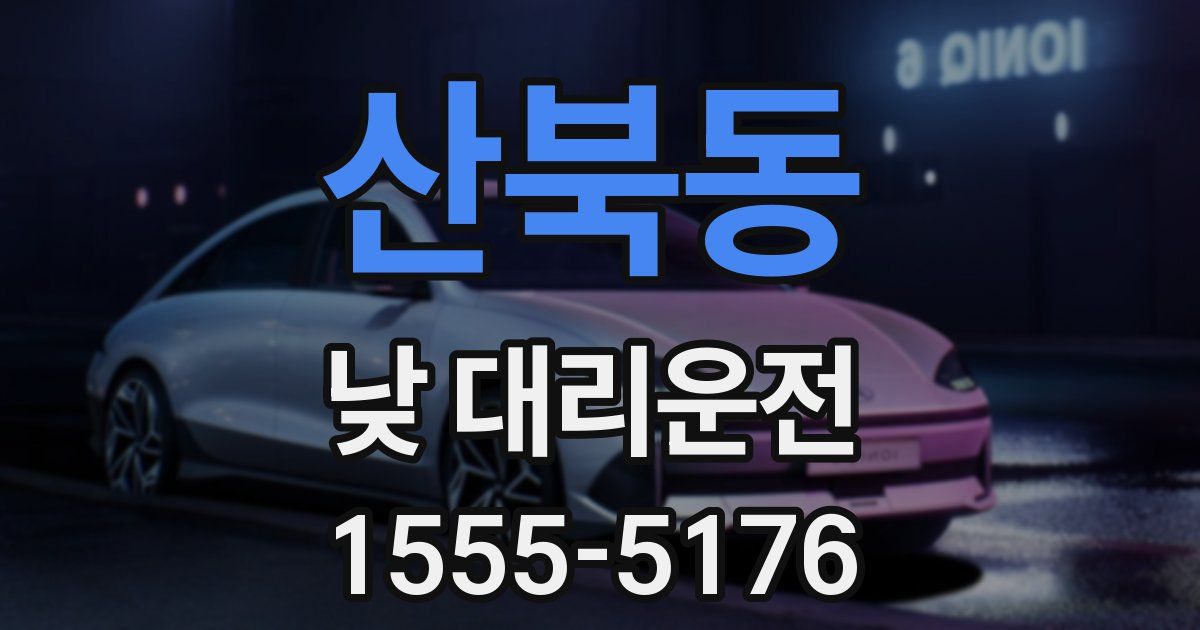산북동 낮 대리운전