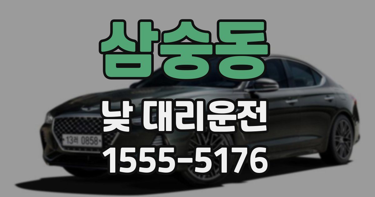 삼숭동 낮 대리운전