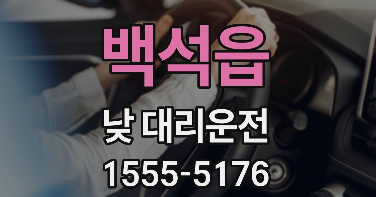 백석읍 낮 대리운전