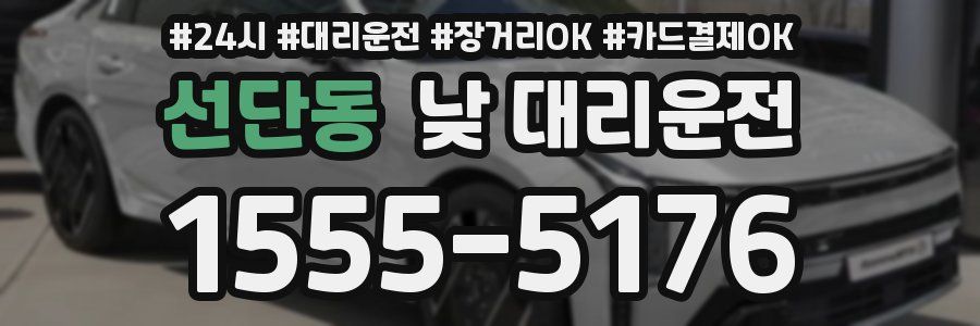 선단동 낮 대리운전