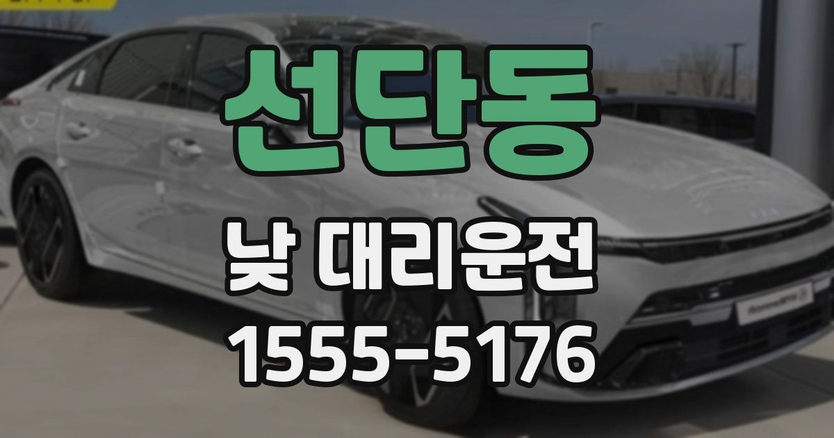 선단동 낮 대리운전