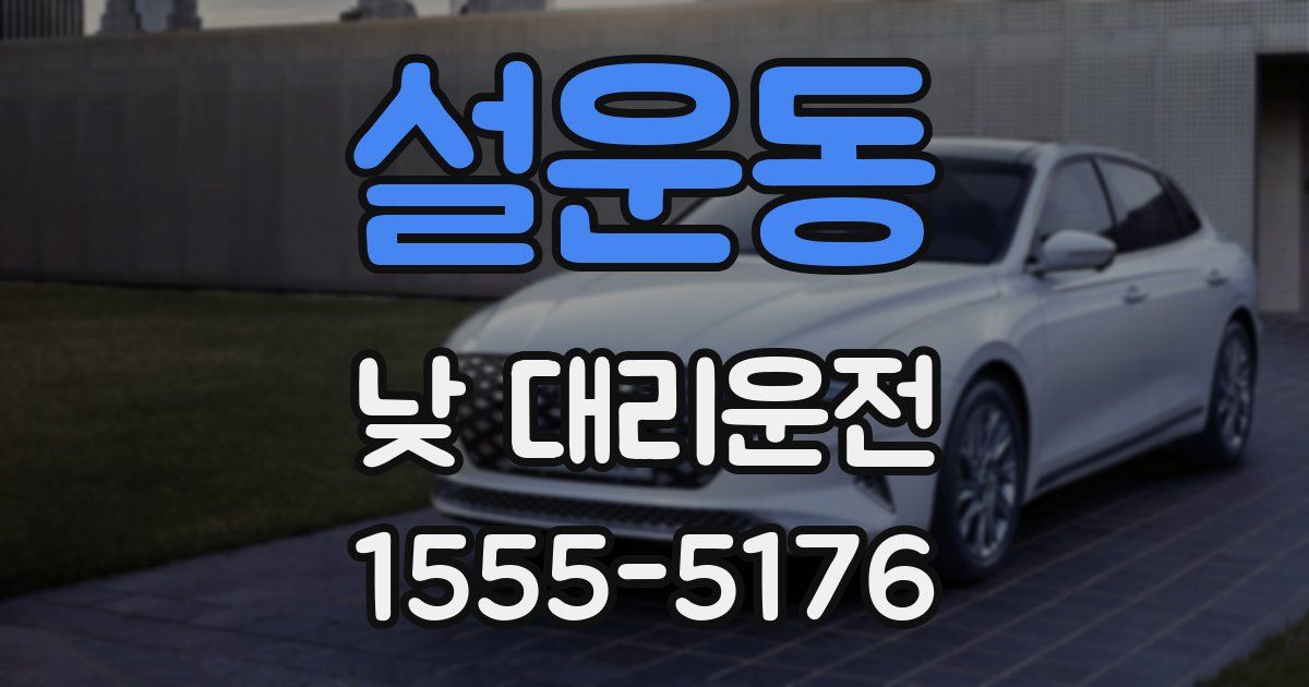 설운동 낮 대리운전