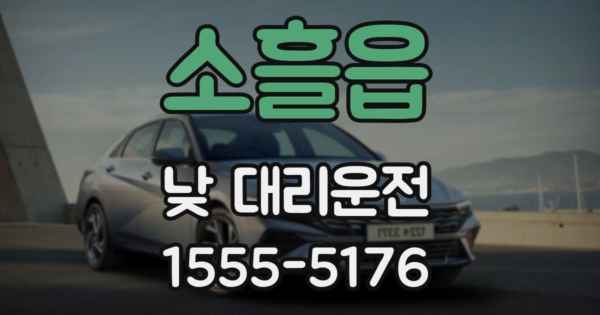 소흘읍 낮 대리운전
