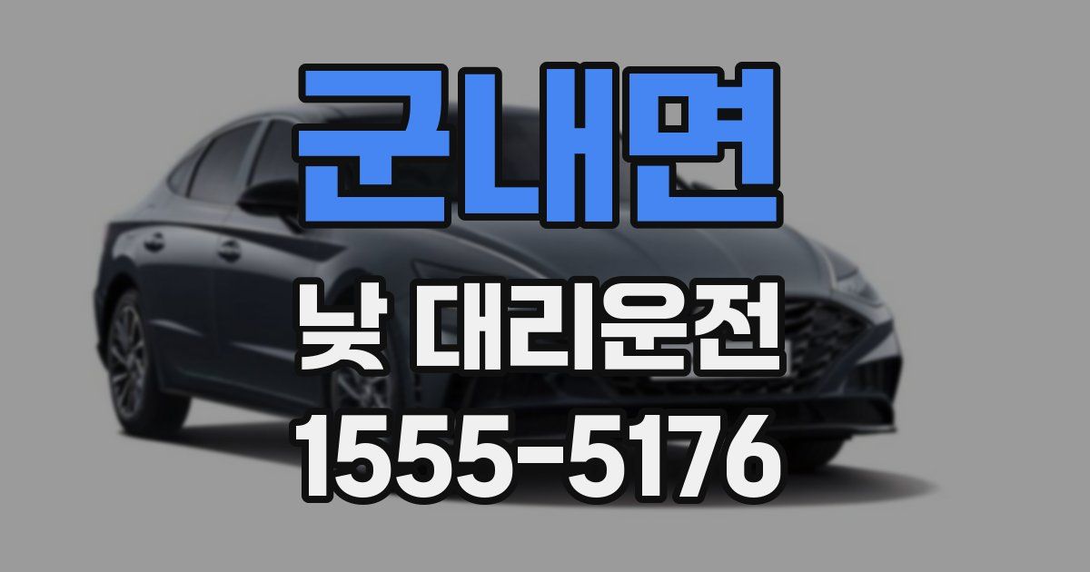 군내면 낮 대리운전