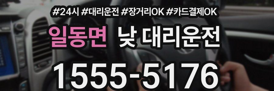 일동면 낮 대리운전