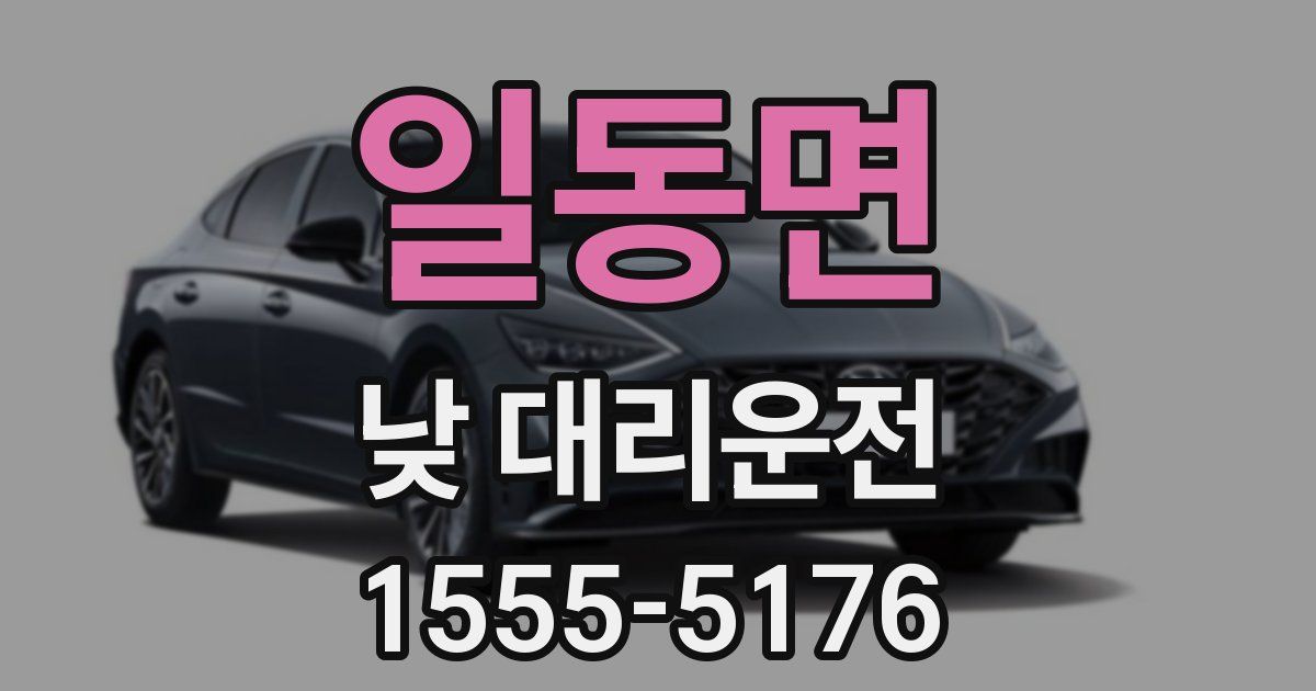 일동면 낮 대리운전