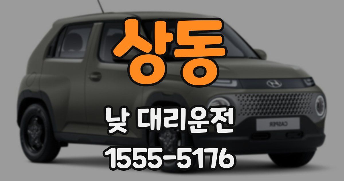 상동 낮 대리운전