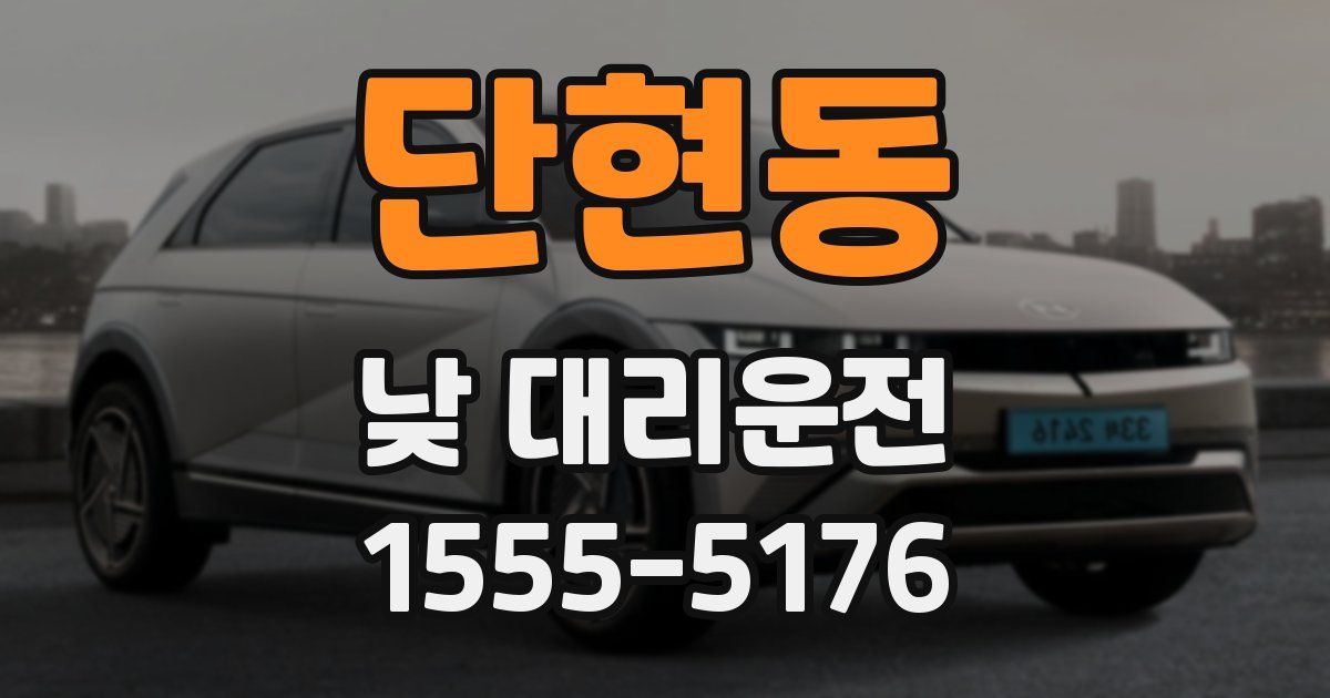 단현동 낮 대리운전