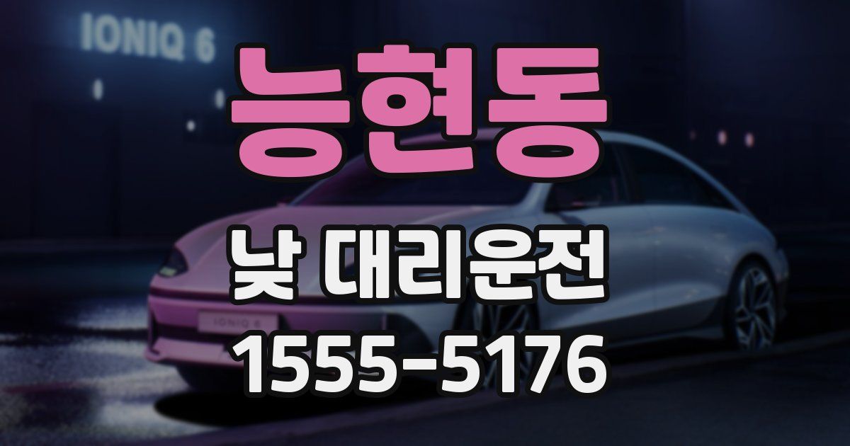 능현동 낮 대리운전