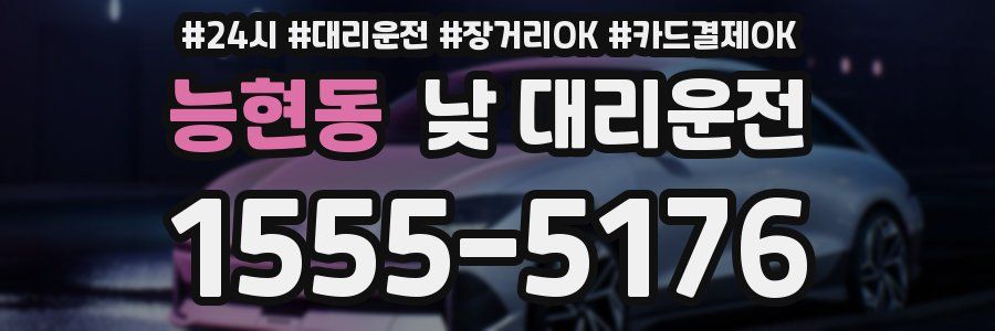 능현동 낮 대리운전