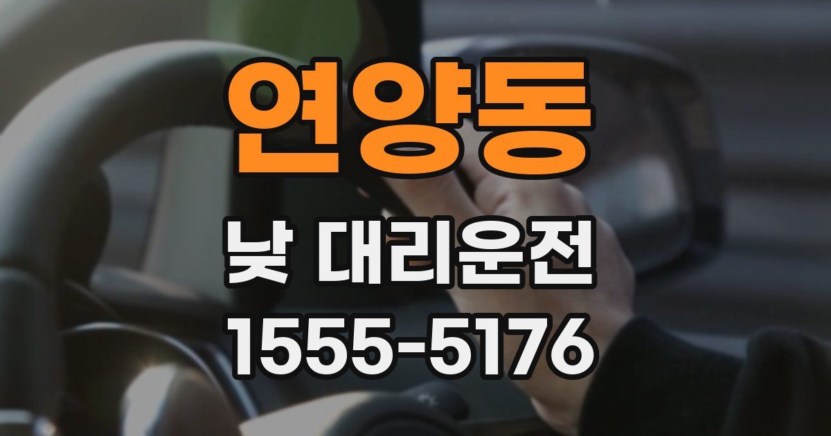 연양동 낮 대리운전