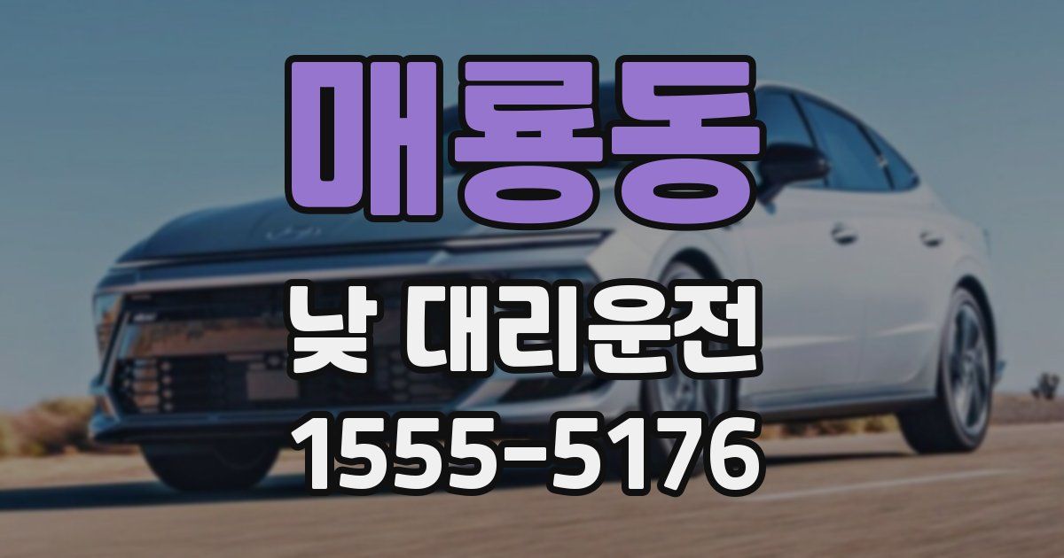 매룡동 낮 대리운전