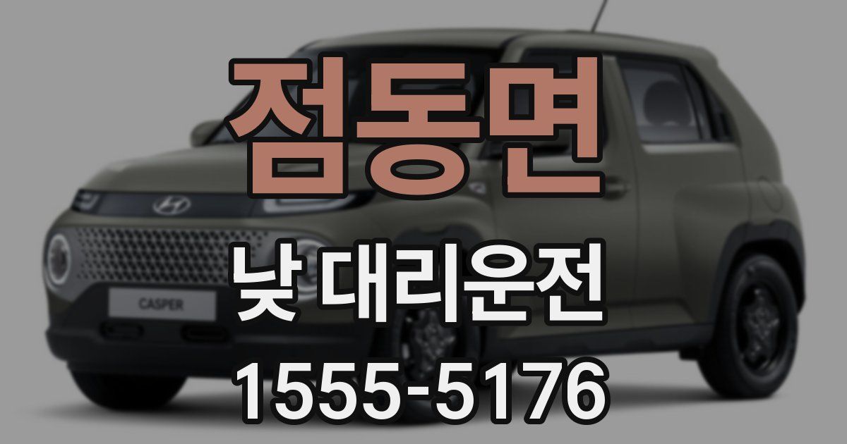 점동면 낮 대리운전