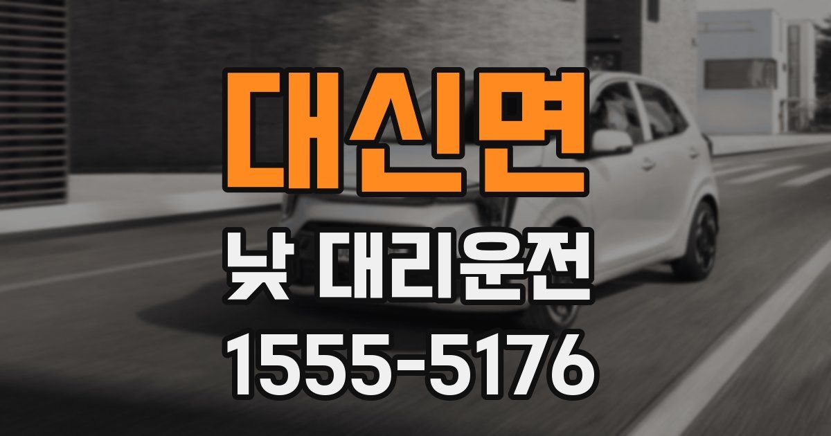 대신면 낮 대리운전